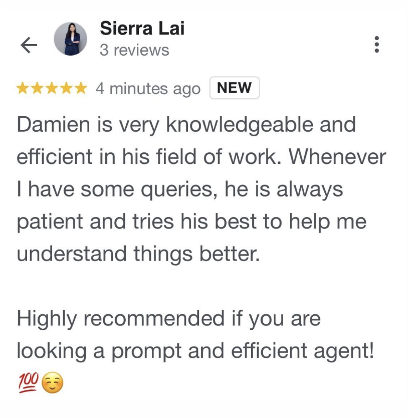 Google review 8